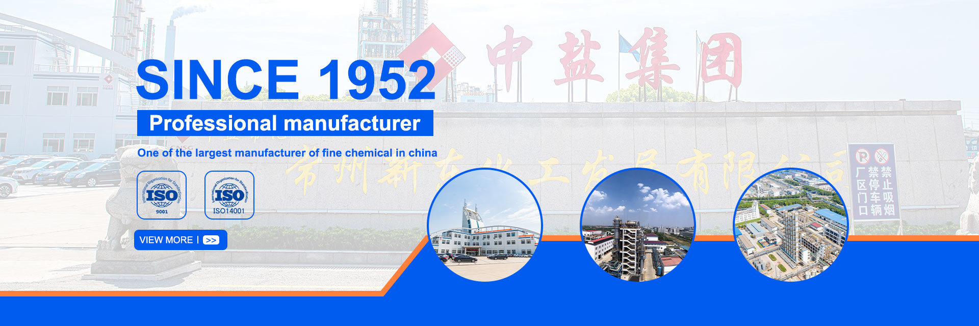 quality Ortho Chloro Benzyl Chloride factory