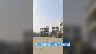 Ortho Chloro Benzyl Chloride of factory